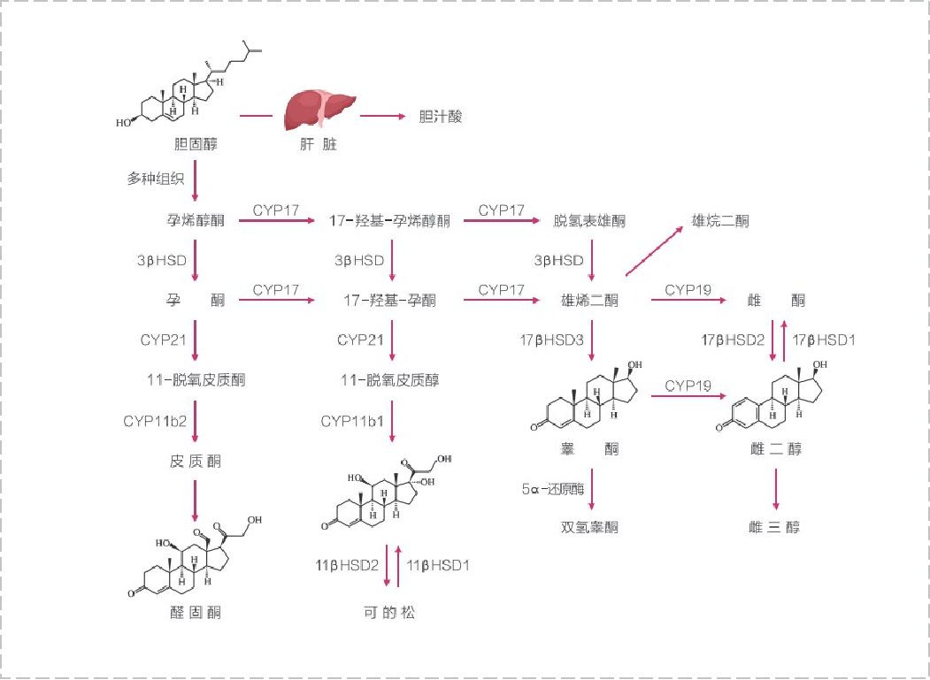 1760150700206594.png 图片6.png